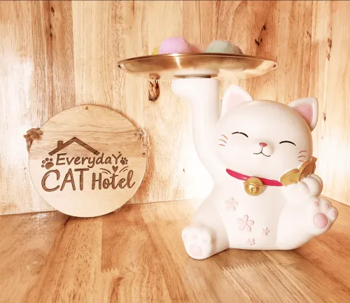 Everyday Cat Hotel - โรงแรมแมวใกล้ฉัน โรงแรมแมวบริการดีดูแลดี