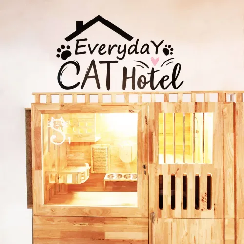 Everyday Cat Hotel - รูปแมวน่ารัก